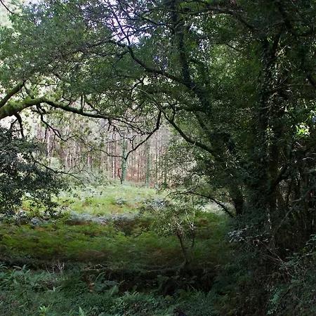 Апартаменты La Casita De Piedra Пуэрто-дель-Сон