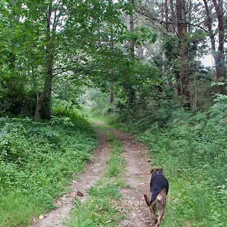 Апартаменты La Casita De Piedra Пуэрто-дель-Сон